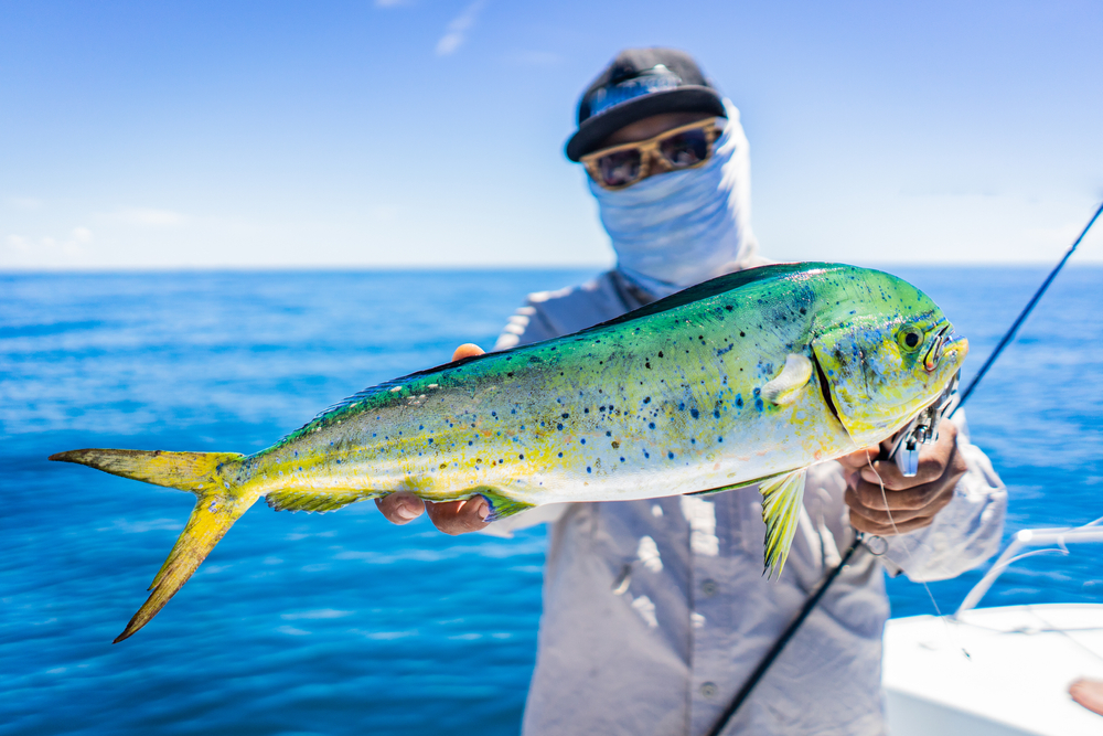 Deep Sea Fishing in Myrtle Beach: Ultimate Guide image thumbnail
