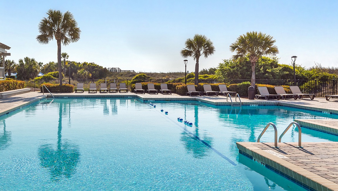 A large outdoor swimming pool with lounge chairs and palm trees in the background.