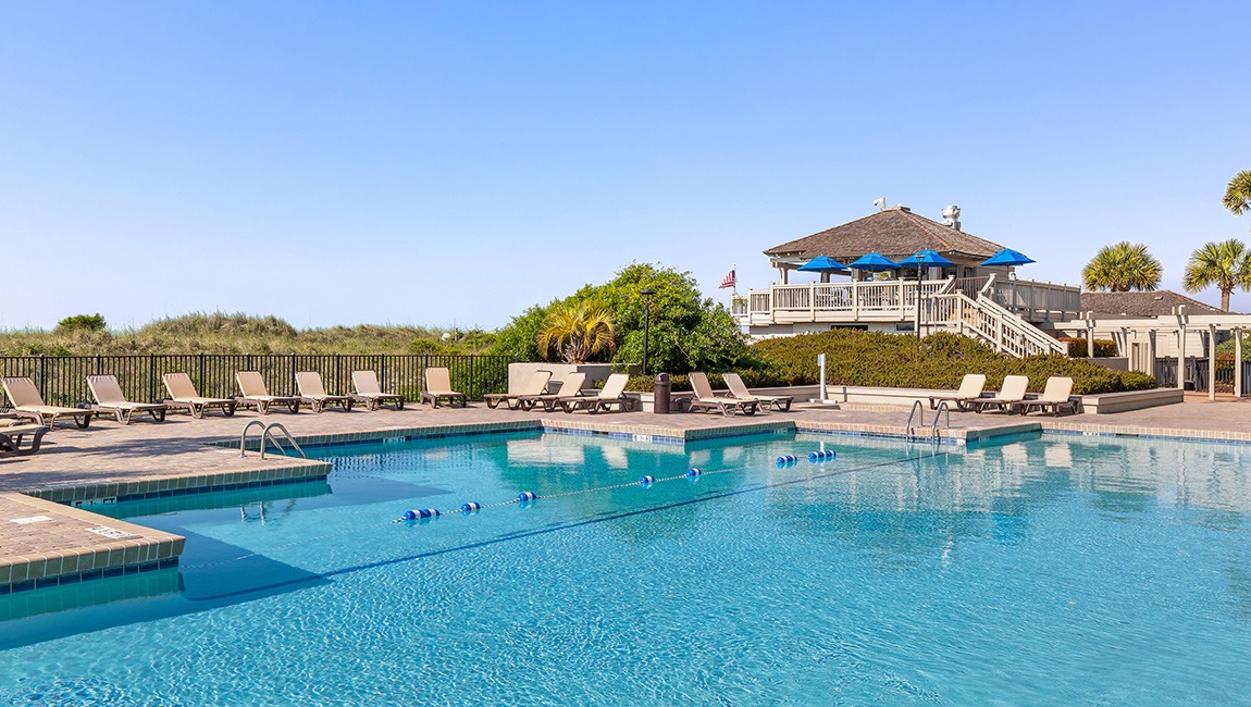 A large swimming pool with lounge chairs and umbrellas, surrounded by palm trees and a grassy hill.