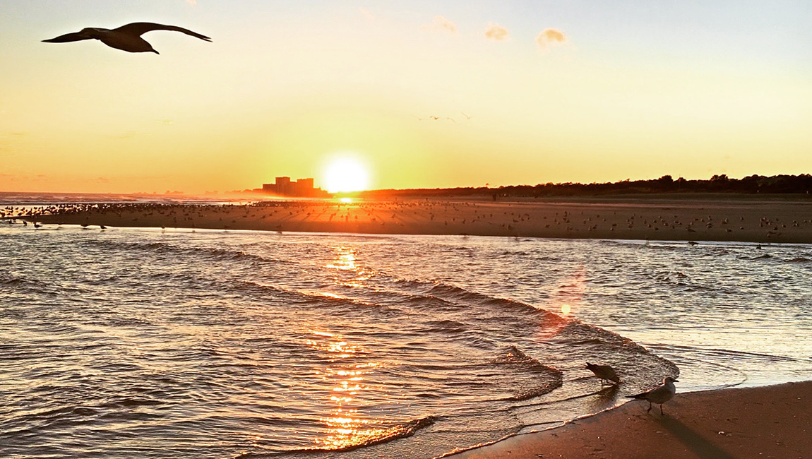 A serene beach scene at sunset with waves, birds, and a vibrant sky.