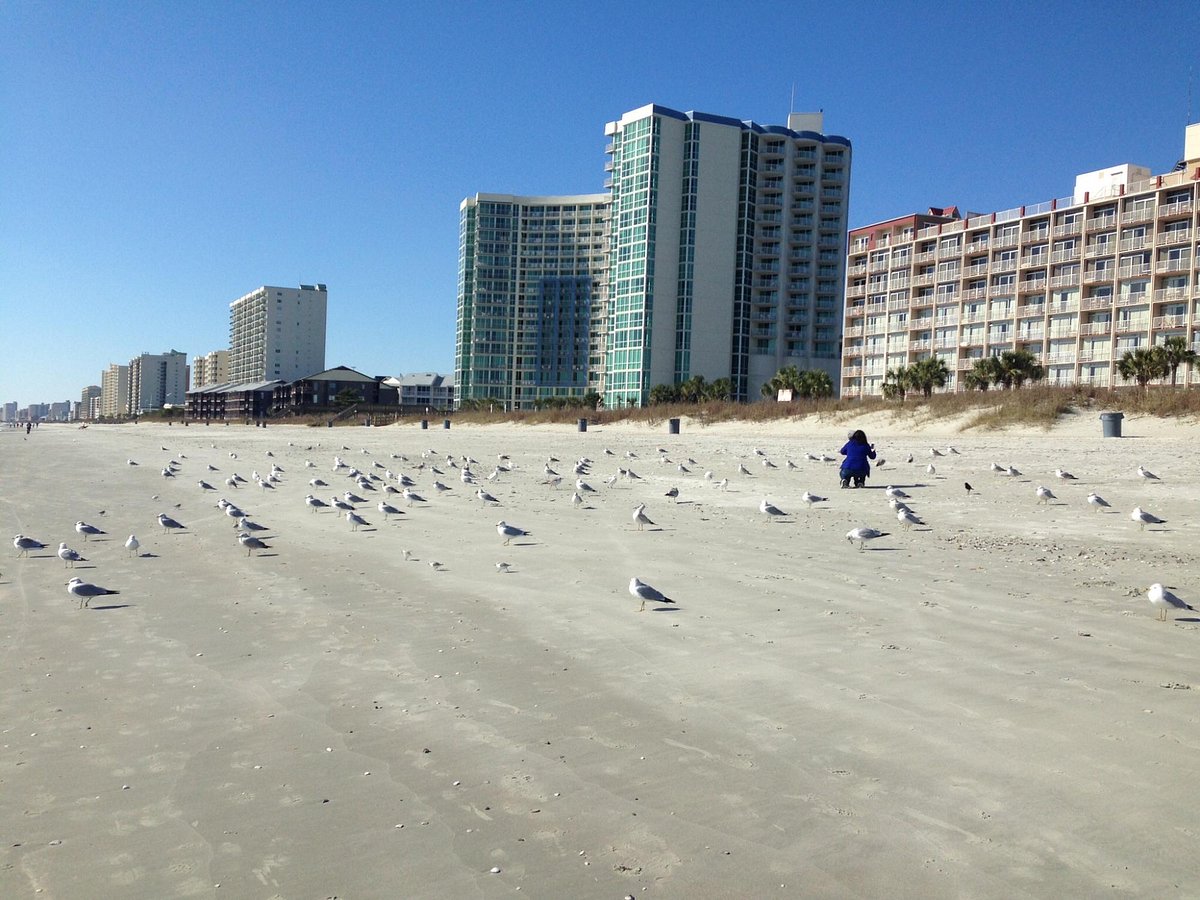 Best Beaches in Myrtle Beach image thumbnail